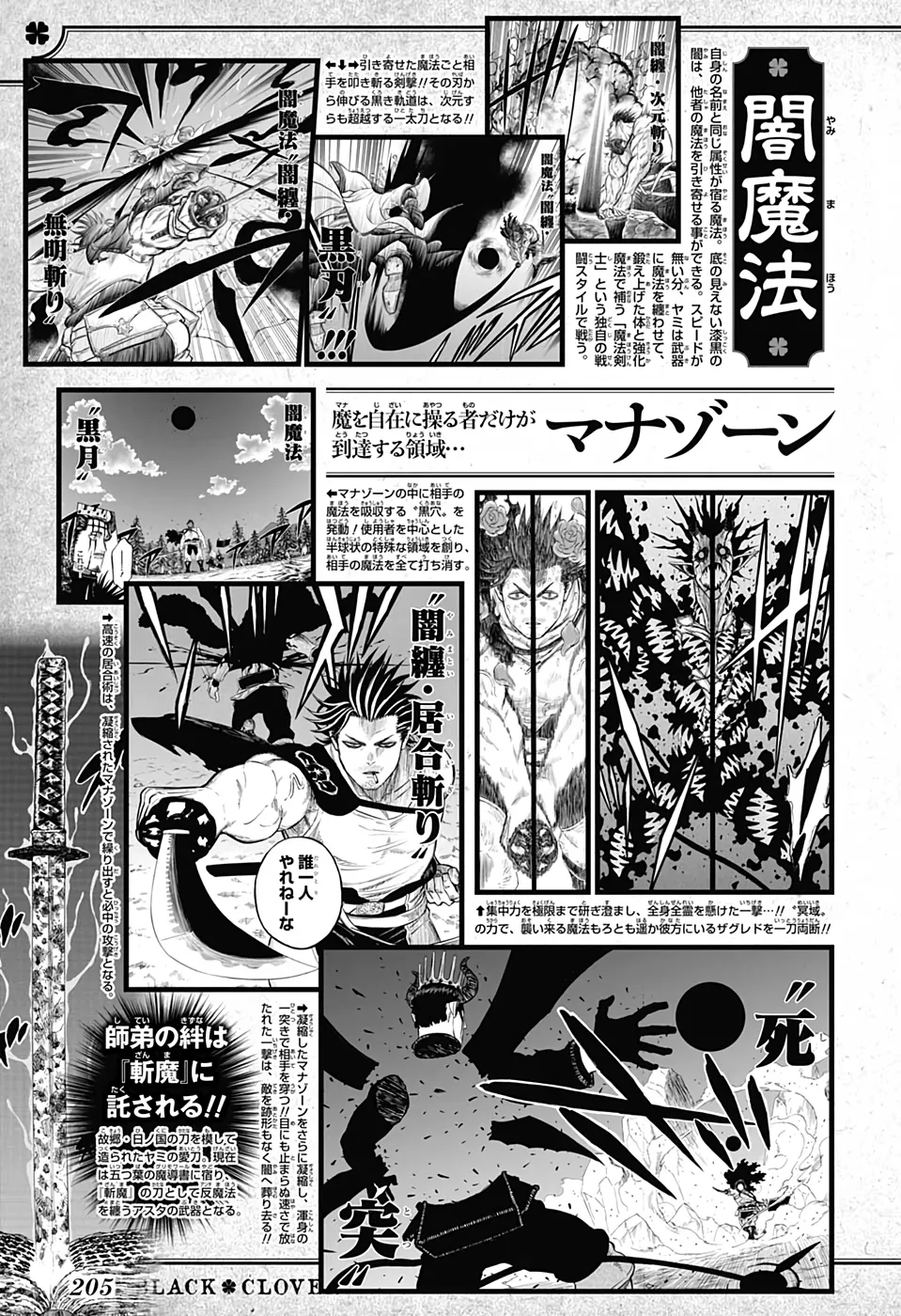 Black Clover — Cap. 289, pág. 14