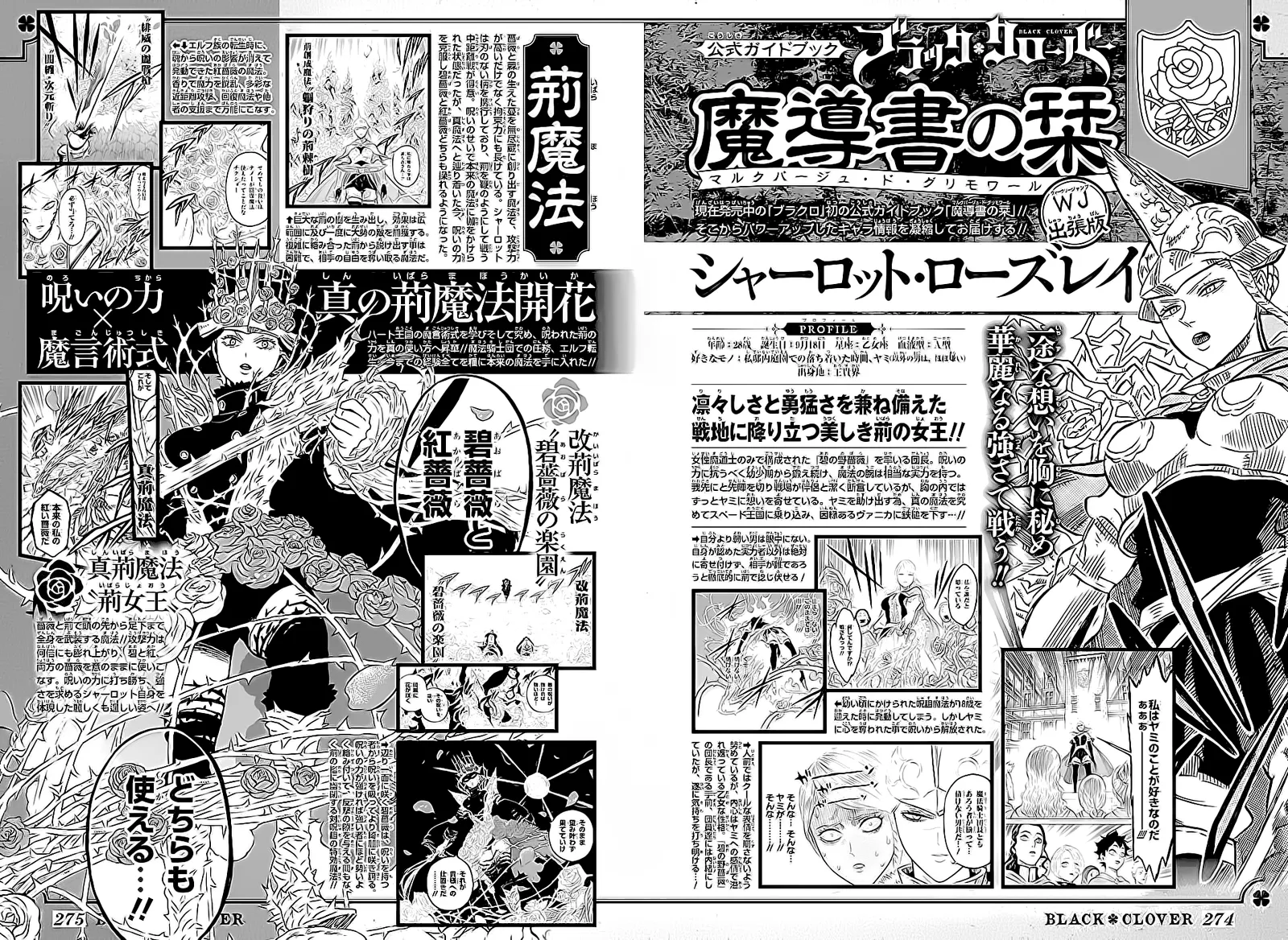 Black Clover — Cap. 299, pág. 12