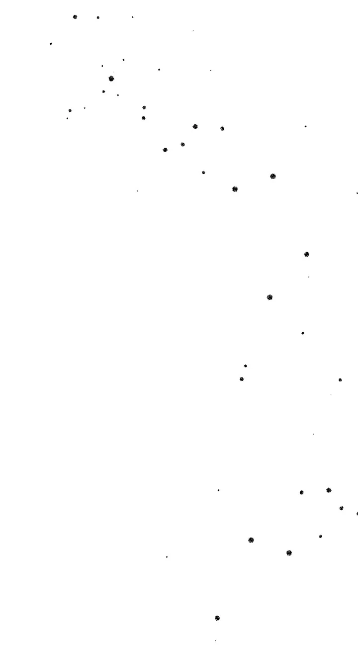 How to Stop the Tyrant's Blackening — Cap. 8, pág. 29