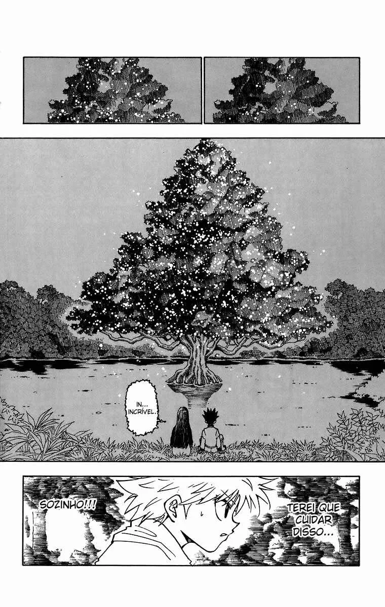 HUNTER x HUNTER — Cap. 218, pág. 13