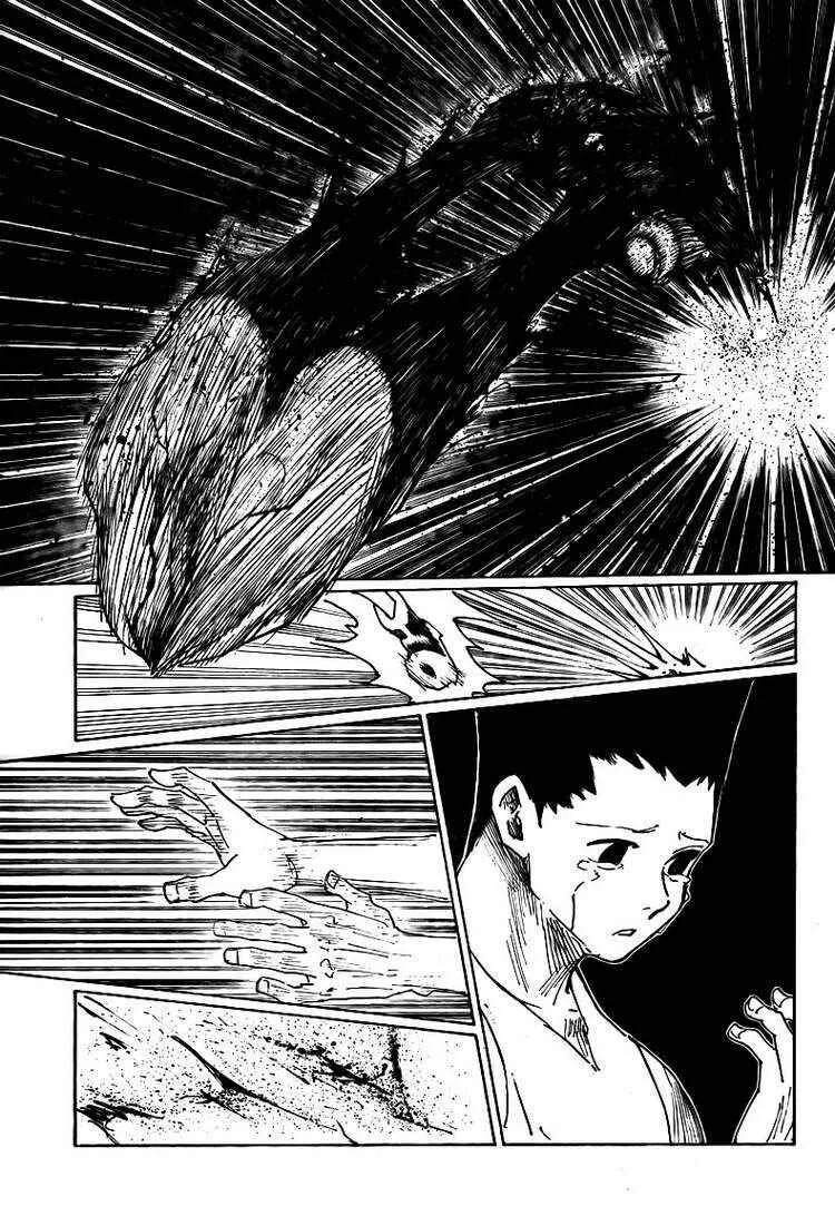 HUNTER x HUNTER — Cap. 307, pág. 7