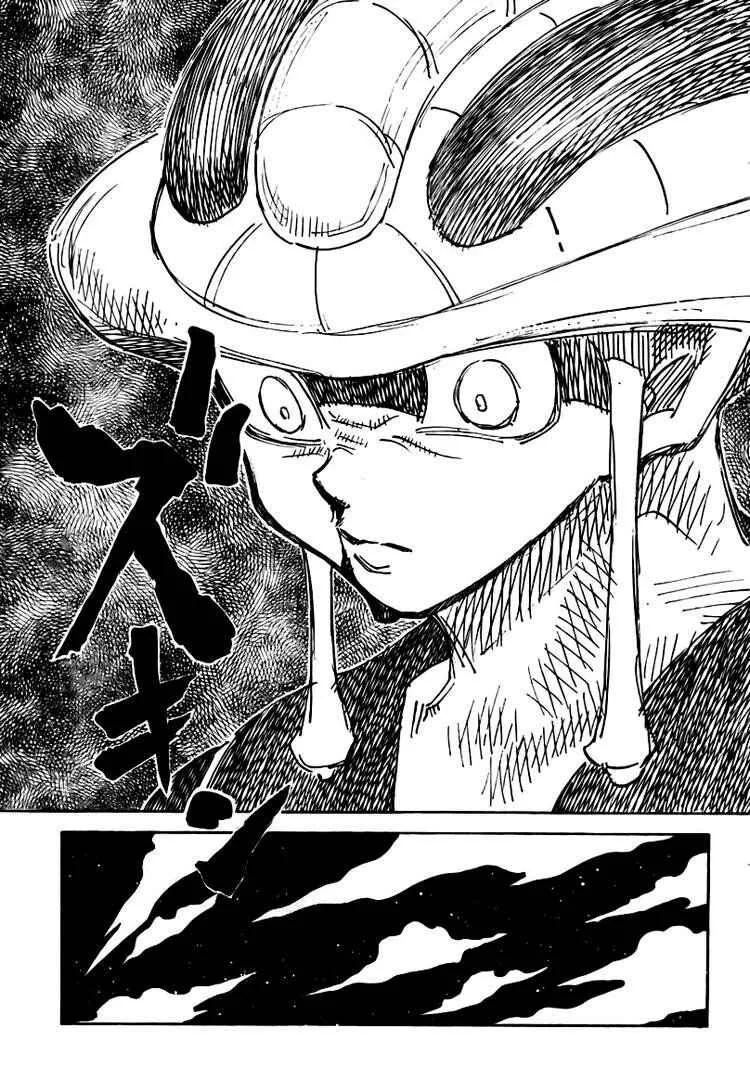 HUNTER x HUNTER — Cap. 310, pág. 13