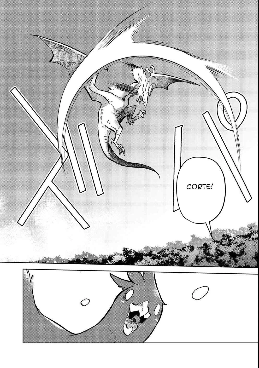 Isekai ni Otosareta… Jouka wa Kihon! — Cap. 16, pág. 11