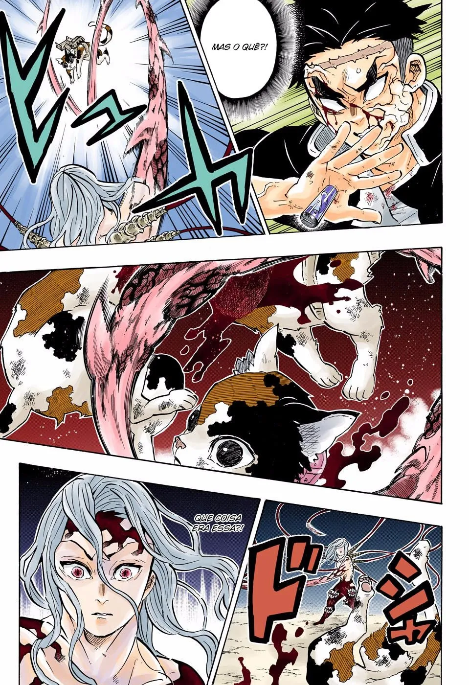 Kimetsu no Yaiba — Cap. 189, pág. 14