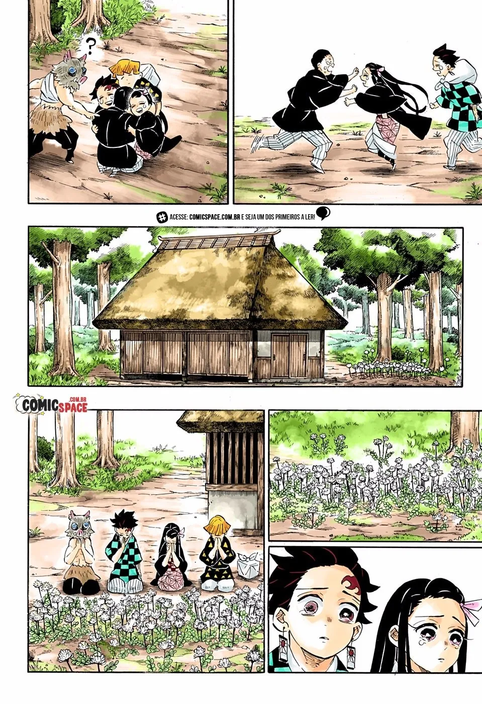 Kimetsu no Yaiba — Cap. 204, pág. 29