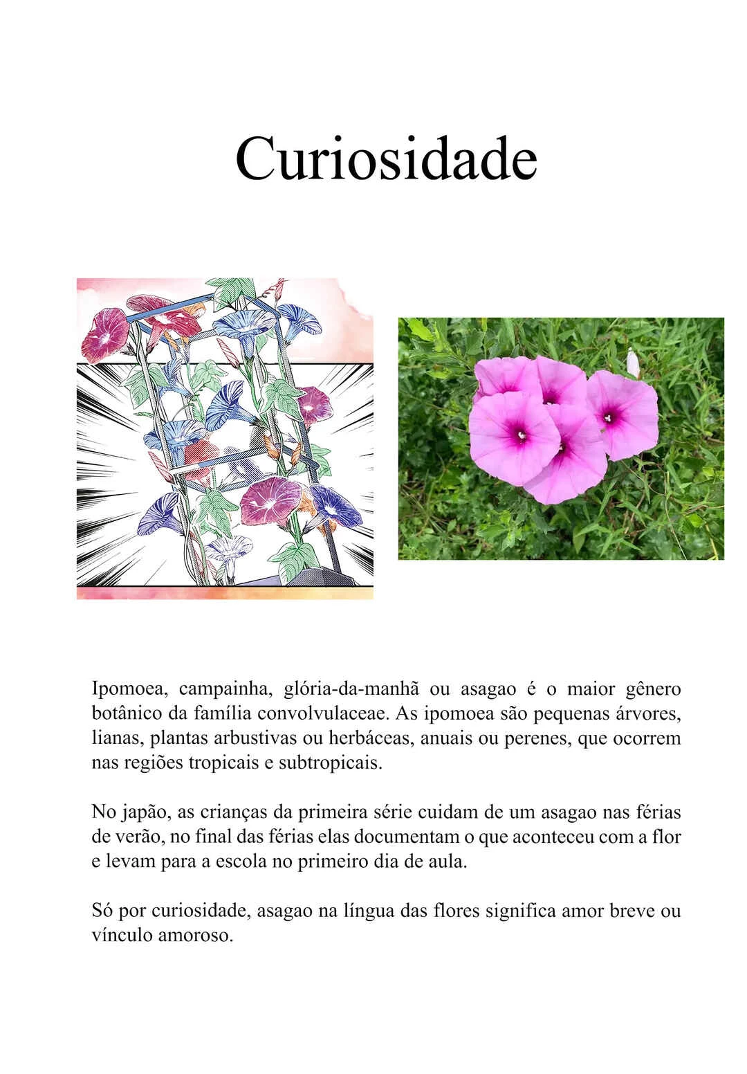 Momose Akira no Hatsukoi Hatan-chuu. — Cap. 35, pág. 20
