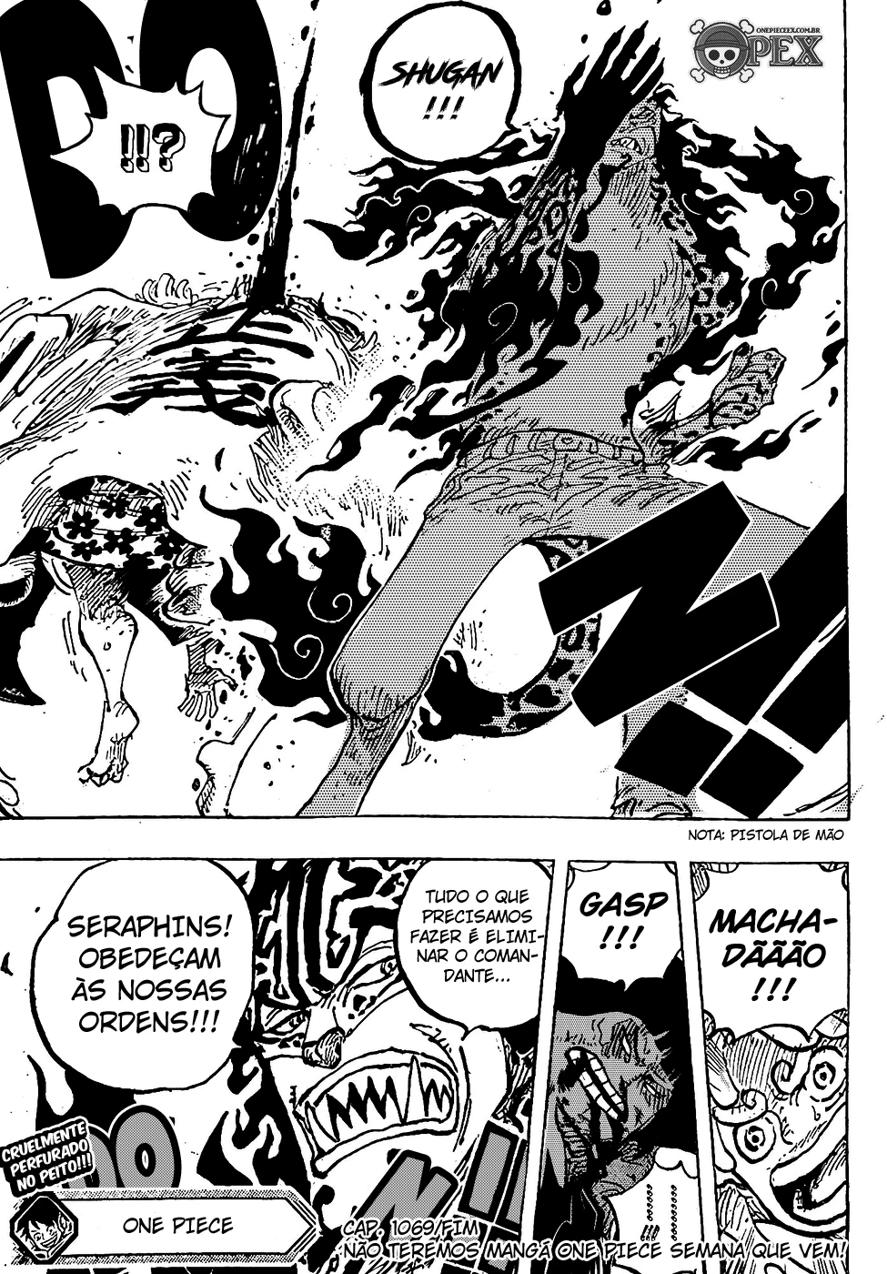 One Piece — Cap. 1069, pág. 14
