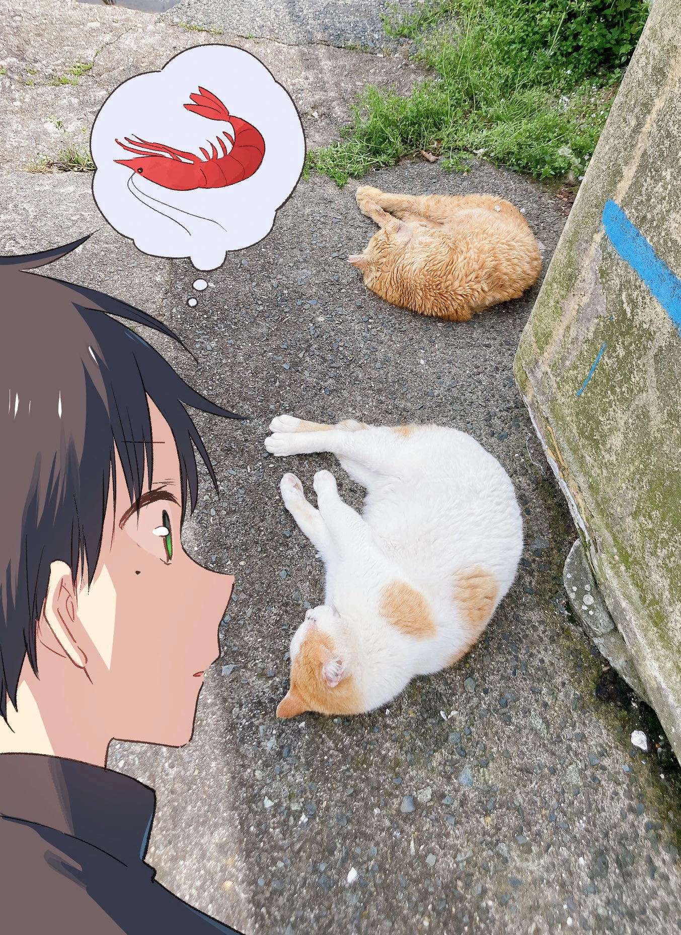 Tonari no Neko to Koi Shirazu — Cap. 33, pág. 10